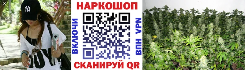 Названия наркотиков Кяхта A PVP Гашиш Канабис