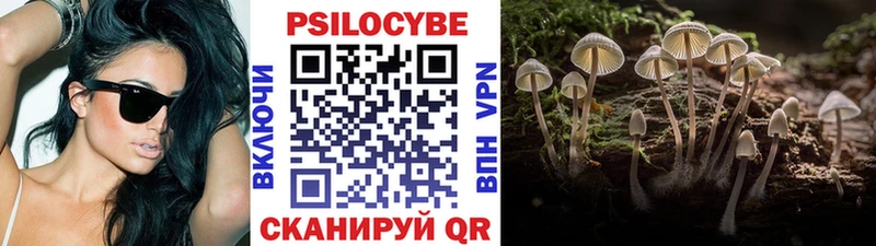 Галлюциногенные грибы Psilocybine cubensis  наркота  Кяхта 